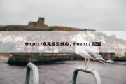 fm2017点完后没反应，fm2017 配置