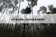FIFA夏日球员（fifaol4夏日足球派对）