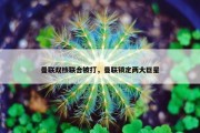 曼联双核联合被打，曼联锁定两大巨星