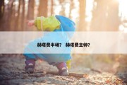 赫塔费半场？ 赫塔费主帅？