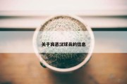关于宾恶汉球员的信息