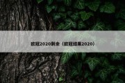 欧冠2020剩余（欧冠结果2020）