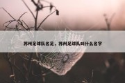 苏州足球队名足，苏州足球队叫什么名字