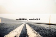 nsa球员排名，sataide球员