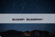 因扎吉皮耶罗？ 因扎吉皮耶罗知乎？