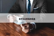 关于VIA球员的信息