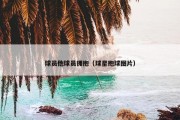 球员他球员拥抱（球星抱球图片）