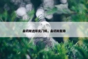 桑切斯进球晃门将，桑切斯集锦