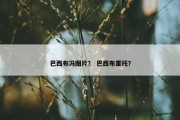 巴西布冯图片？ 巴西布里托？