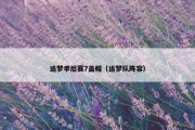 追梦季后赛7盖帽（追梦队阵容）
