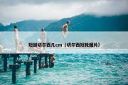短腿切尔西几cm（切尔西短靴图片）