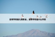 足球学校属几类职业，足球学校是什么学历