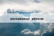 足球少年进球庆祝方式？ 足球少年介绍？