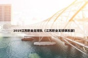 2019江苏职业足球队（江苏职业足球俱乐部）