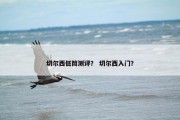 切尔西低筒测评？ 切尔西入门？