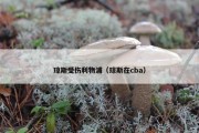 琼斯受伤利物浦（琼斯在cba）