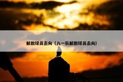 解散球员去向（八一队解散球员去向）