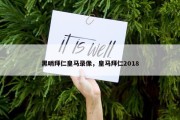 黑哨拜仁皇马录像，皇马拜仁2018