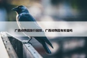 广西动物园旅行回放，广西动物园有熊猫吗