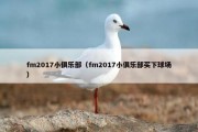 fm2017小俱乐部（fm2017小俱乐部买下球场）