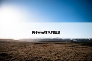 关于nyg球队的信息
