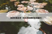 关切尔西古诗（有关切尔西的高清图片）