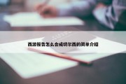 西游报告怎么合成切尔西的简单介绍