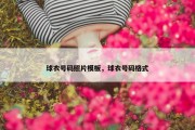 球衣号码照片模板，球衣号码格式