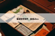 曼城签劳塔罗，曼城silva