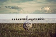怎么看无延迟回放（csgo怎么看延迟）