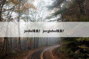 jodie球员？ jorginho球员？