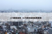 小马健身回放（小马健身回放在哪里看）