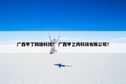 广西甲丁网络科技？ 广西甲乙丙科技有限公司？