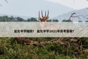 盐化中学回放？ 盐化中学2021年高考喜报？