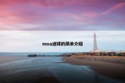 moa进球的简单介绍
