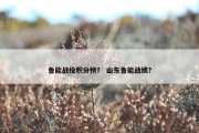 鲁能战役积分榜？ 山东鲁能战绩？