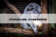 历年季后赛热火雄鹿（热火雄鹿季后赛数据）