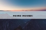 神龙刀阵容（神龙刀的图片）