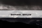 鹿特丹甲级球队，鹿特丹公开赛