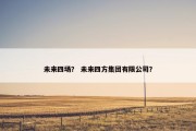 未来四场？ 未来四方集团有限公司？