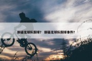 新疆足球队假球？ 新疆足球队假球事件？