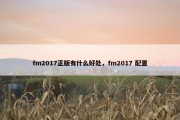 fm2017正版有什么好处，fm2017 配置