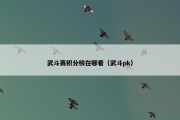 武斗赛积分榜在哪看（武斗pk）