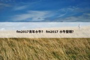 fm2017青年小牛？ fm2017 小牛整理？