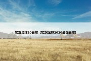 实况足球20白球（实况足球2020最强白球）