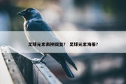 足球元素表神回复？ 足球元素海报？