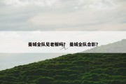曼城全队见老板吗？ 曼城全队合影？