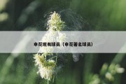 申花现有球员（申花著名球员）