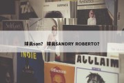 球员san？ 球员SANDRY ROBERTO？