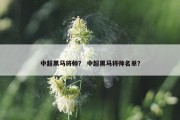 中超黑马将帅？ 中超黑马将帅名单？